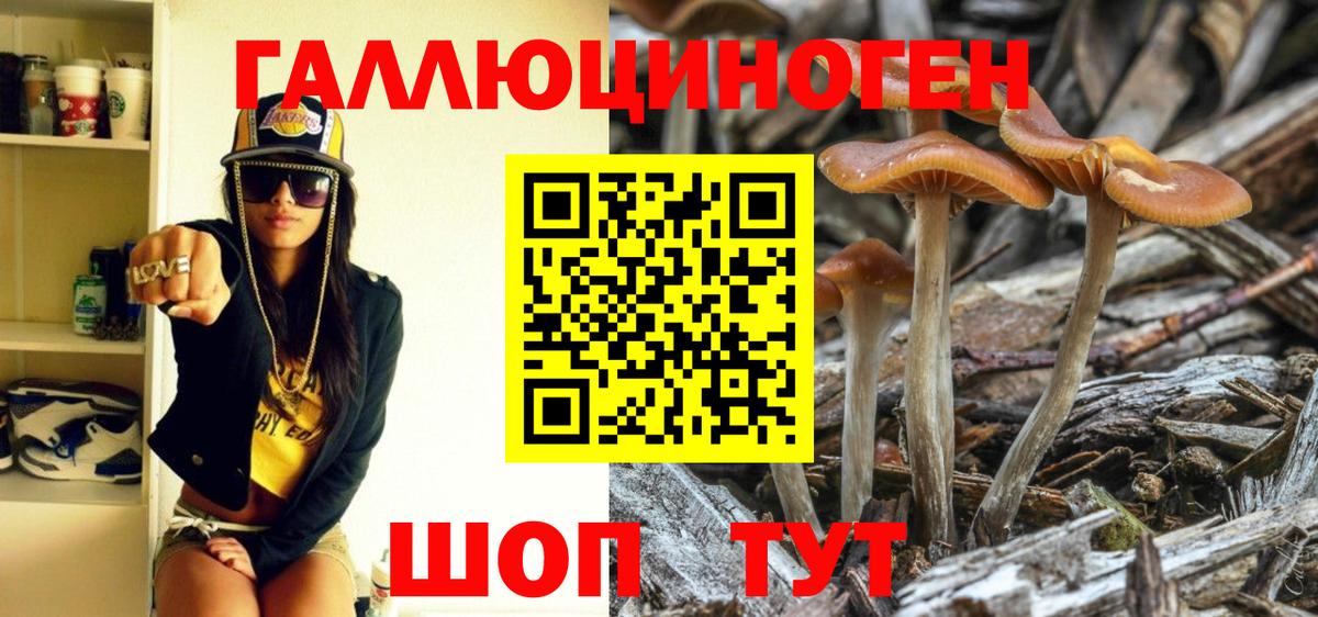 Галлюциногенные грибы Magic Shrooms  что такое   Сосновый Бор  Галлюциногенные грибы Psilocybine cubensis  Вход с VPN 